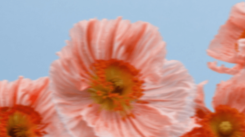 Product updates in Alva: Data retention and improved user experience