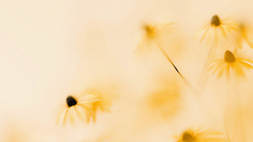 See candidate results in a new light: clear, contextual, and job-aligned