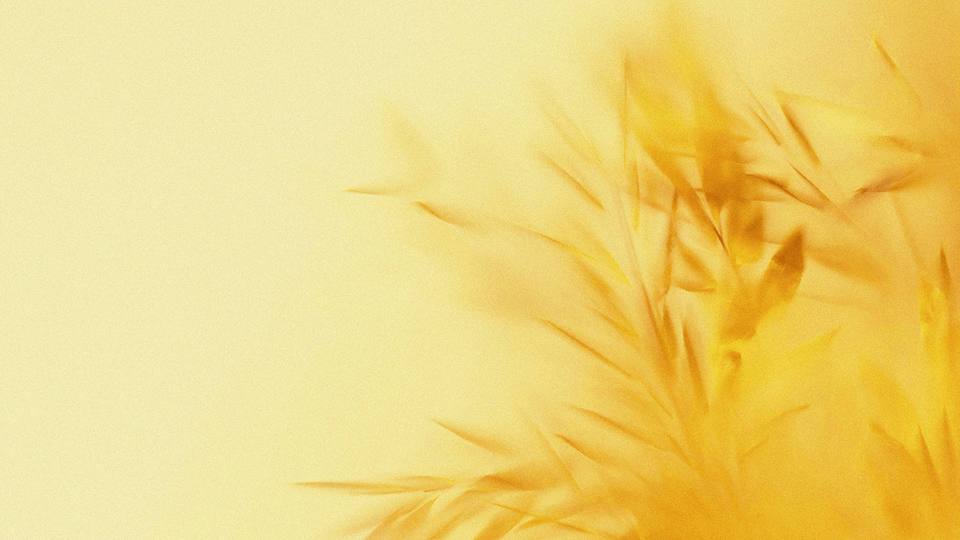 Alva_Labs_Flower_bg_13