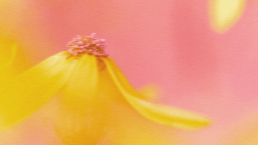 Product update: Structured interviews just got easier