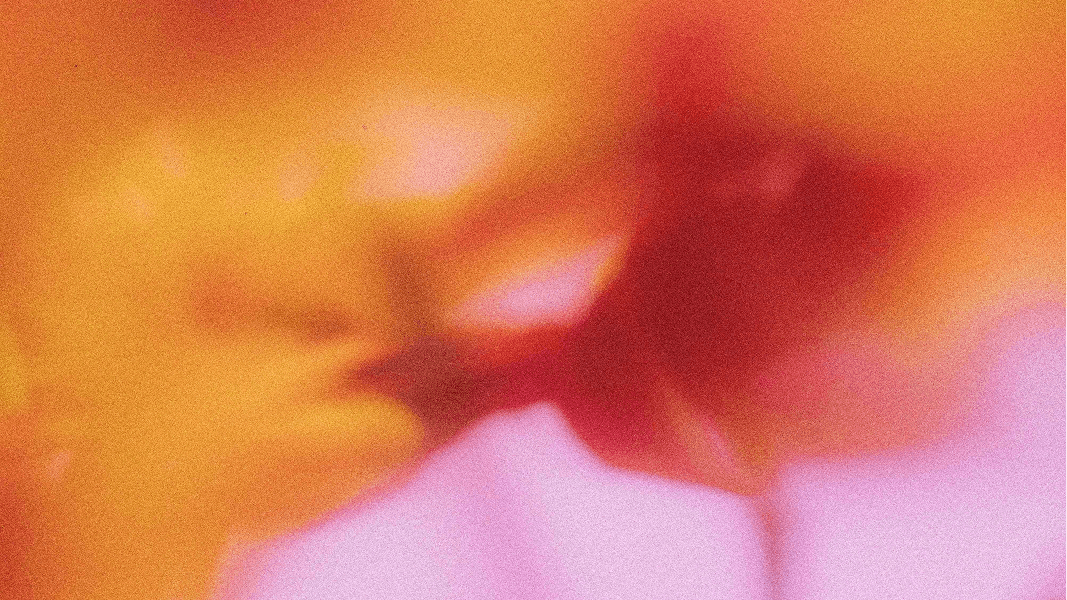 Alva_Labs_Flower_bg_8