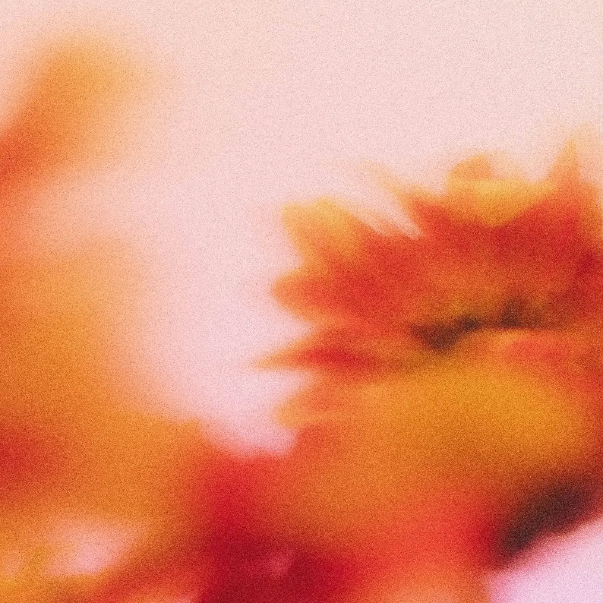 Why Hiring Decisions Fail (and What to Do About It)